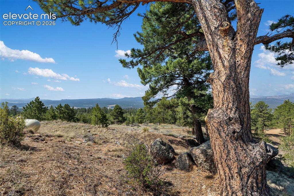 523 Navajo Trail Florissant CO 80816
