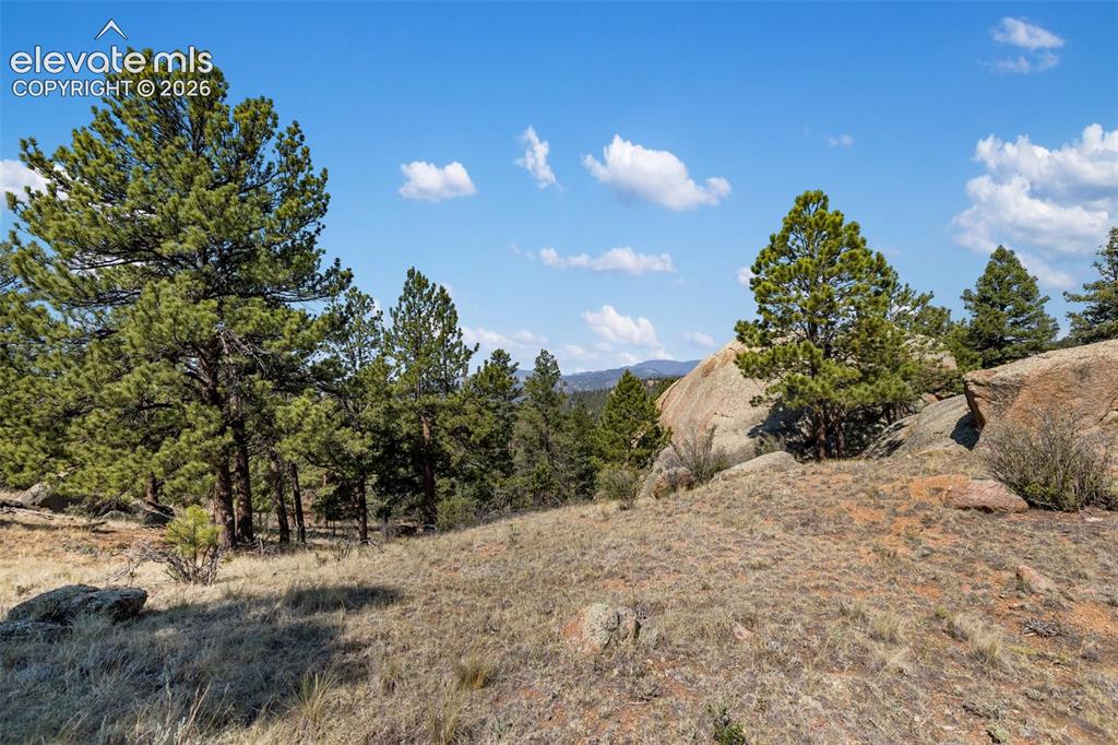 523 Navajo Trail Florissant CO 80816