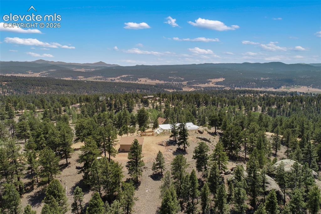 523 Navajo Trail Florissant CO 80816