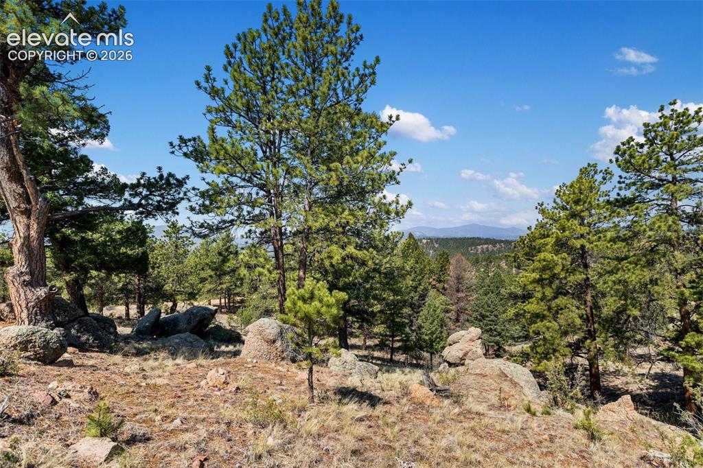 523 Navajo Trail Florissant CO 80816