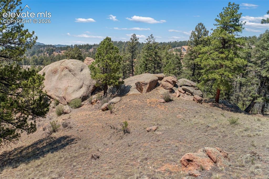 523 Navajo Trail Florissant CO 80816