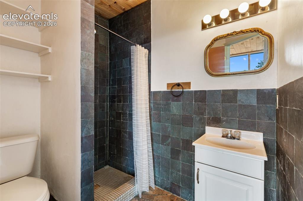 523 Navajo Trail Florissant CO 80816