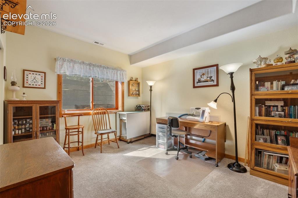 567 County Road 31 Florissant CO 80816