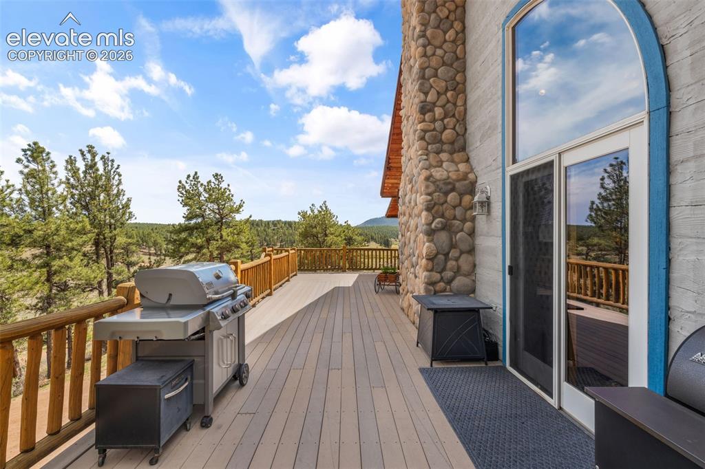 567 County Road 31 Florissant CO 80816