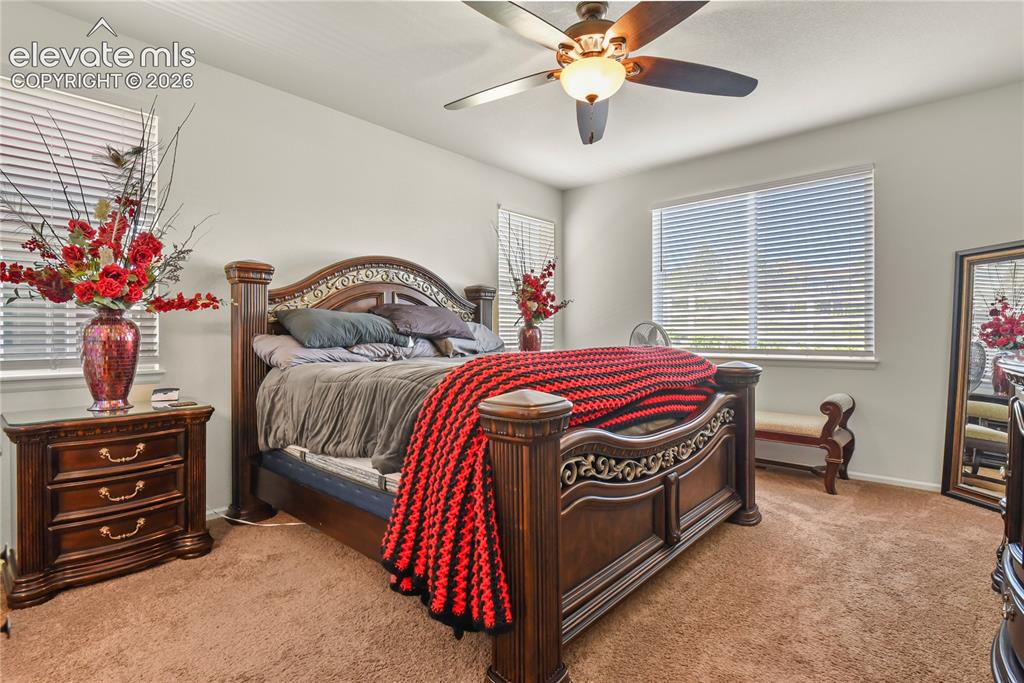 3921 John Court Castle Rock CO 80104