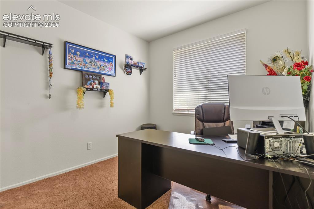 3921 John Court Castle Rock CO 80104