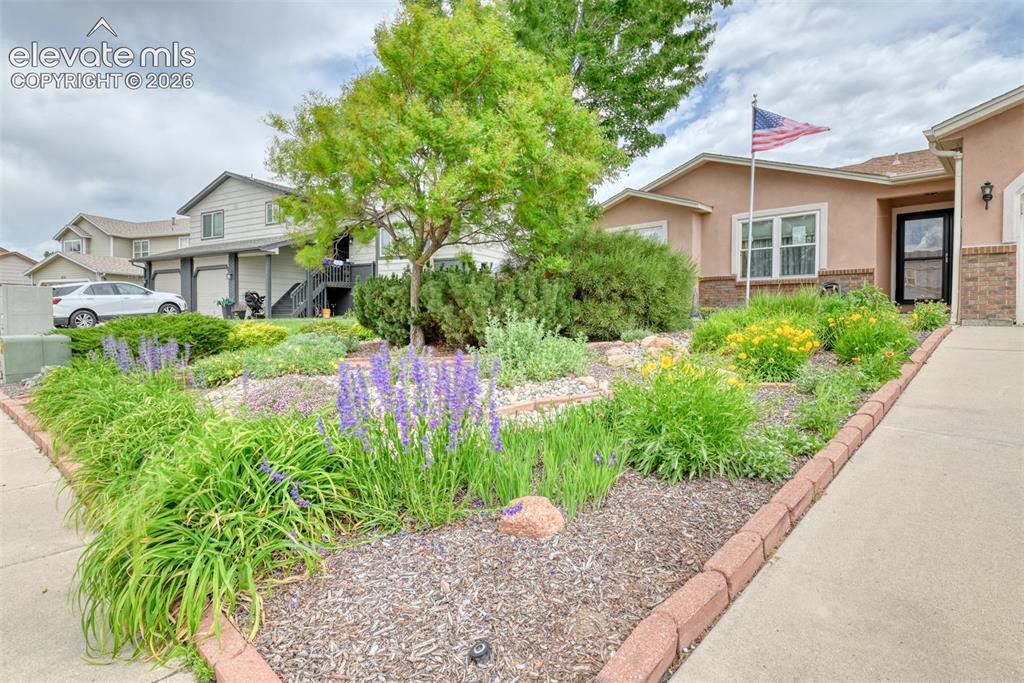 5055 Wainwright Drive Colorado Springs CO 80911