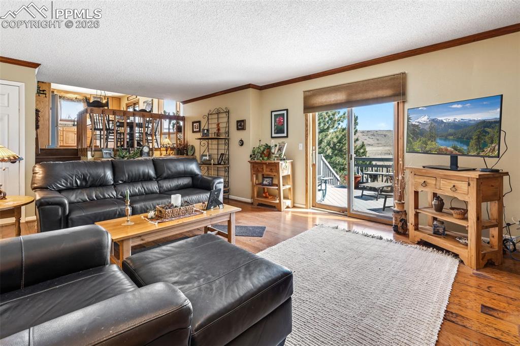 12360 Mesa View Road Larkspur CO 80118