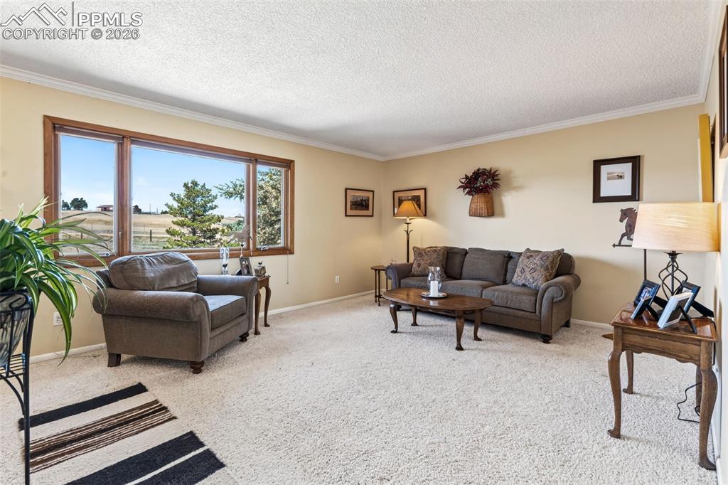 12360 Mesa View Road Larkspur CO 80118