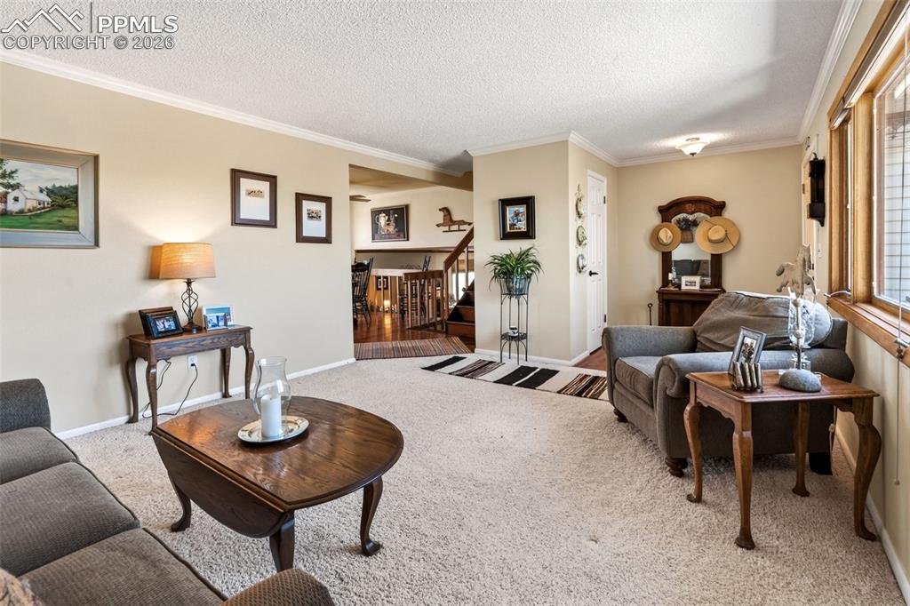 12360 Mesa View Road Larkspur CO 80118