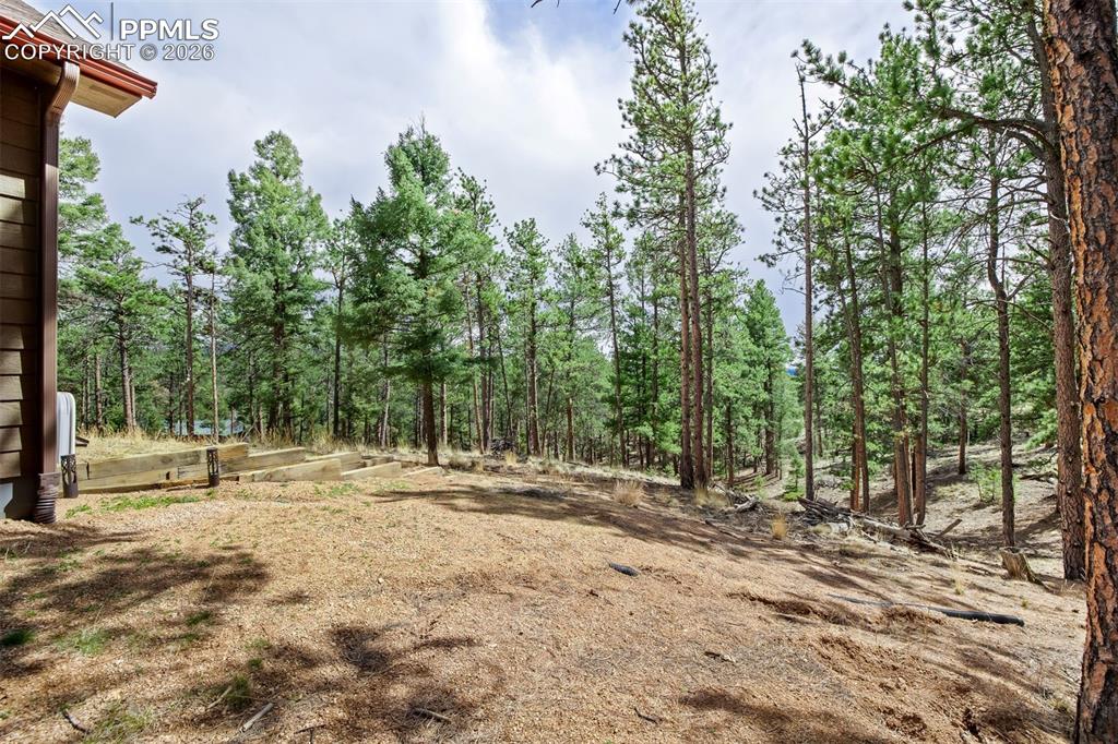 858 Fossil Creek Road Florissant CO 80816
