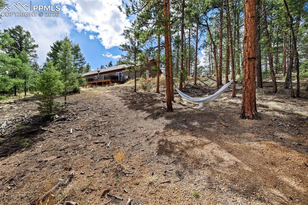 858 Fossil Creek Road Florissant CO 80816