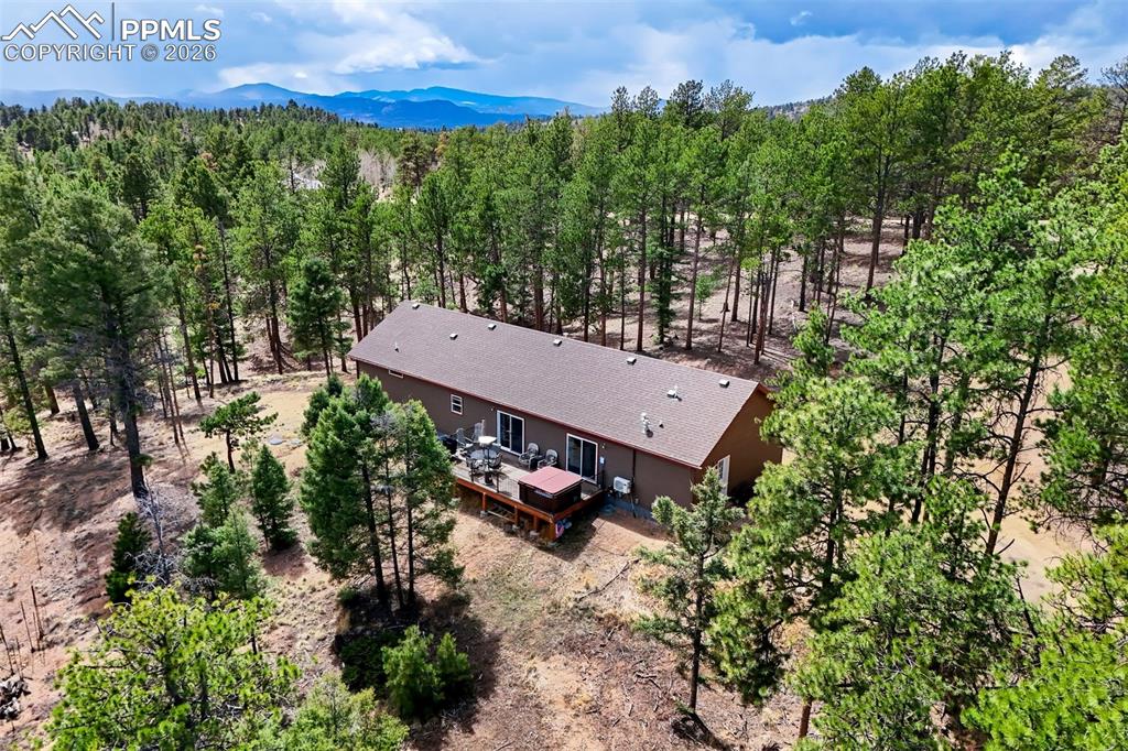 858 Fossil Creek Road Florissant CO 80816