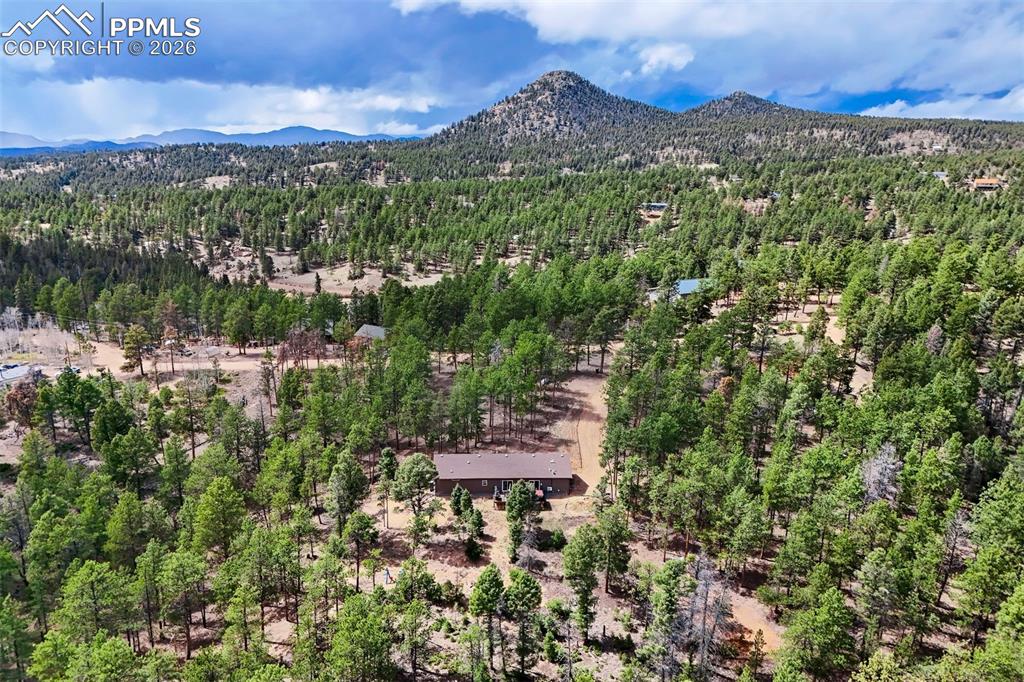 858 Fossil Creek Road Florissant CO 80816