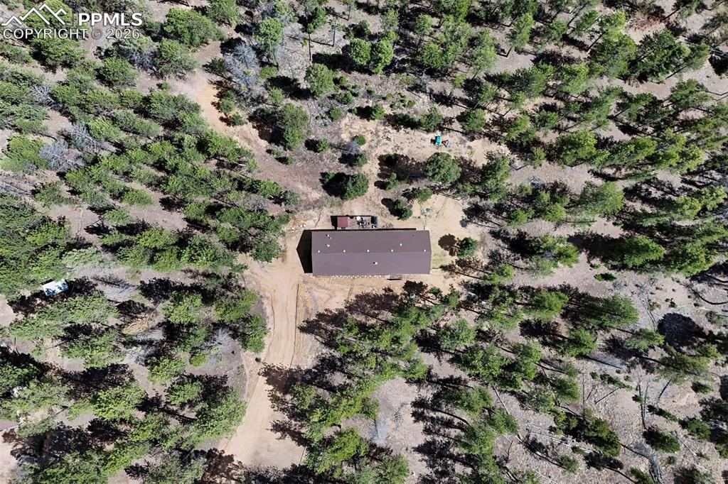 858 Fossil Creek Road Florissant CO 80816