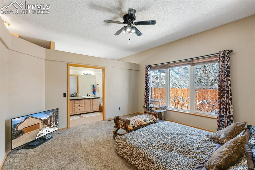 670 Fernglen Court Colorado Springs CO 80906