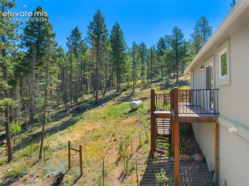 2775 Pathfinder Road Florissant CO 80816