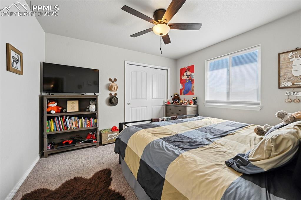 13124 Park Meadows Drive Peyton CO 80831