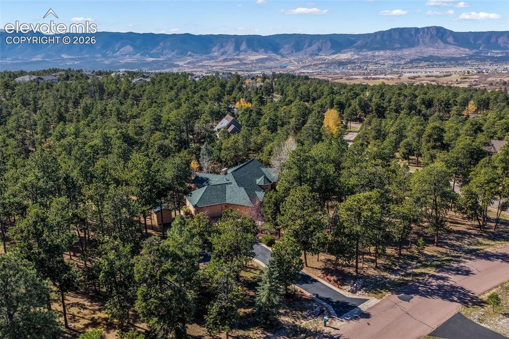 17556 Colonial Park Drive Monument CO 80132