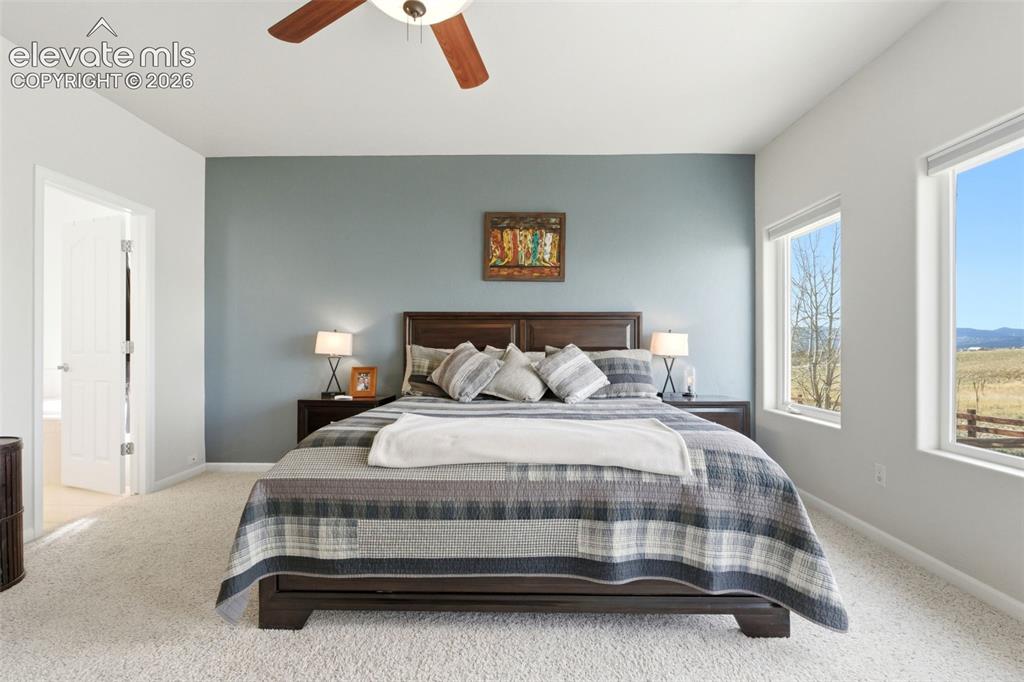 322 Saber Creek Drive Monument CO 80132
