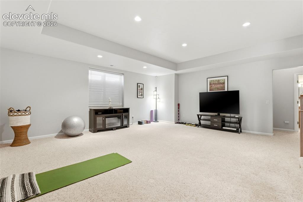 322 Saber Creek Drive Monument CO 80132