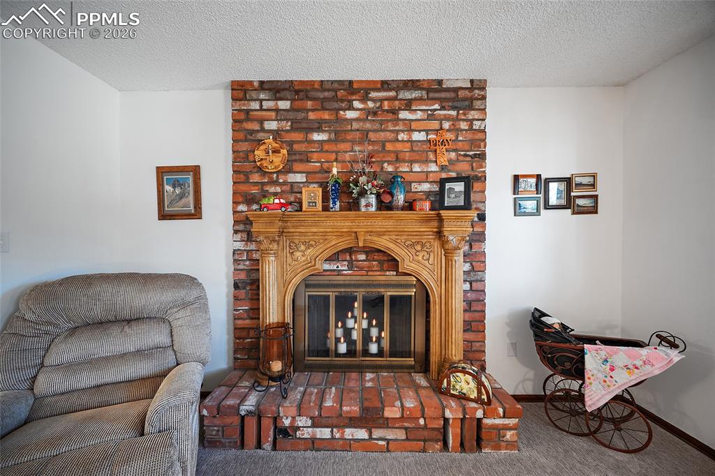 400 Sunnywood Lane Woodland Park CO 80863