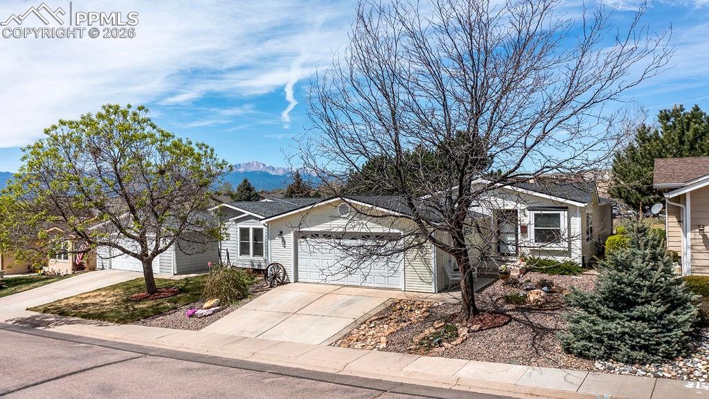 4024 Gray Fox Heights Colorado Springs CO 80922