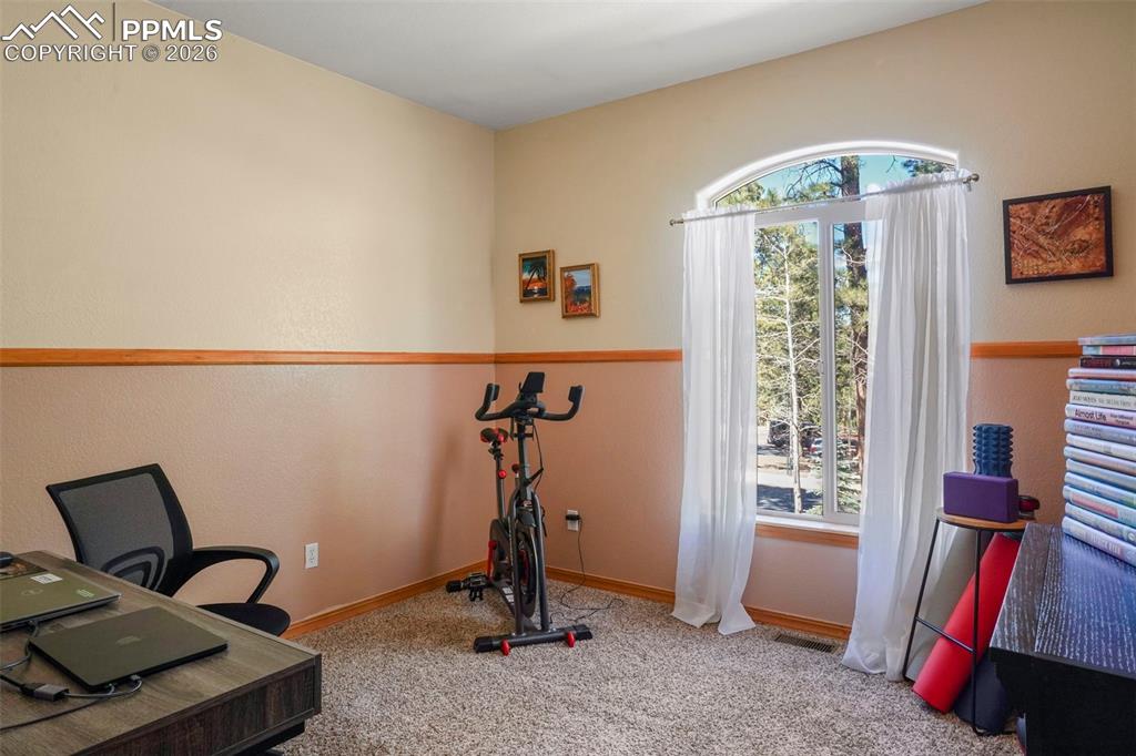 1185 Karen Lane Woodland Park CO 80863