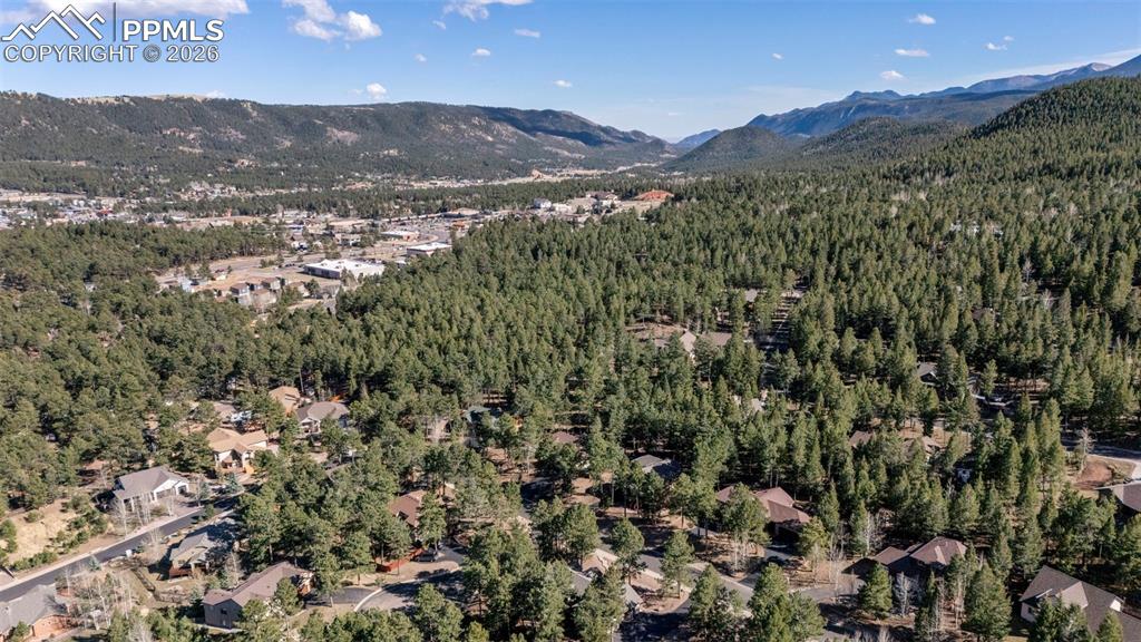 1185 Karen Lane Woodland Park CO 80863