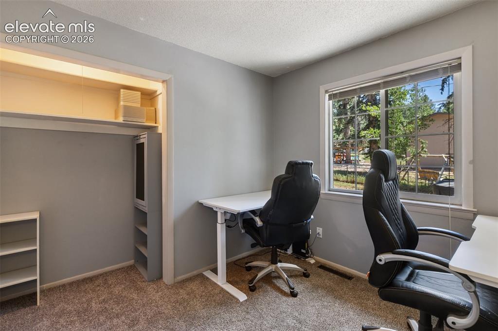 861 Teller Lane Woodland Park CO 80863