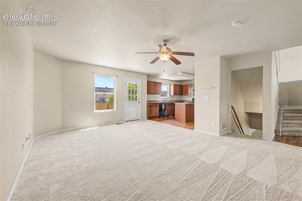 10349 Desert Bloom Way Colorado Springs CO 80925