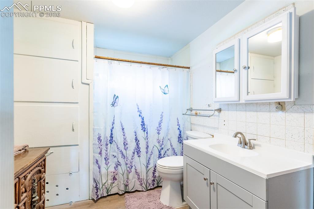213 N Colorado Avenue Buena Vista CO 81211