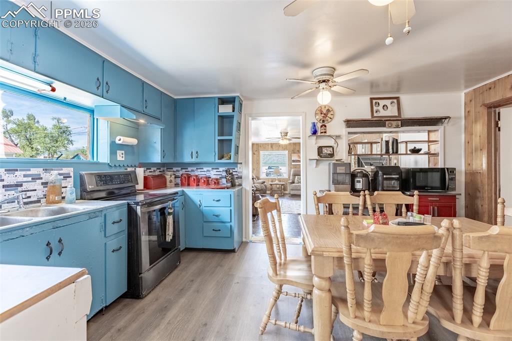 213 N Colorado Avenue Buena Vista CO 81211