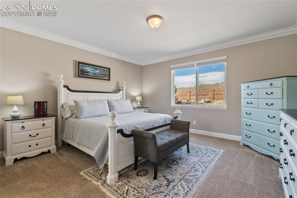 6655 Mentha Drive Castle Rock CO 80108