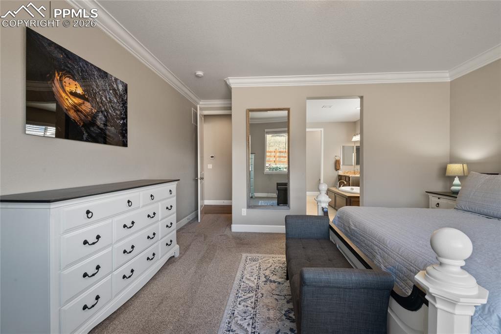 6655 Mentha Drive Castle Rock CO 80108