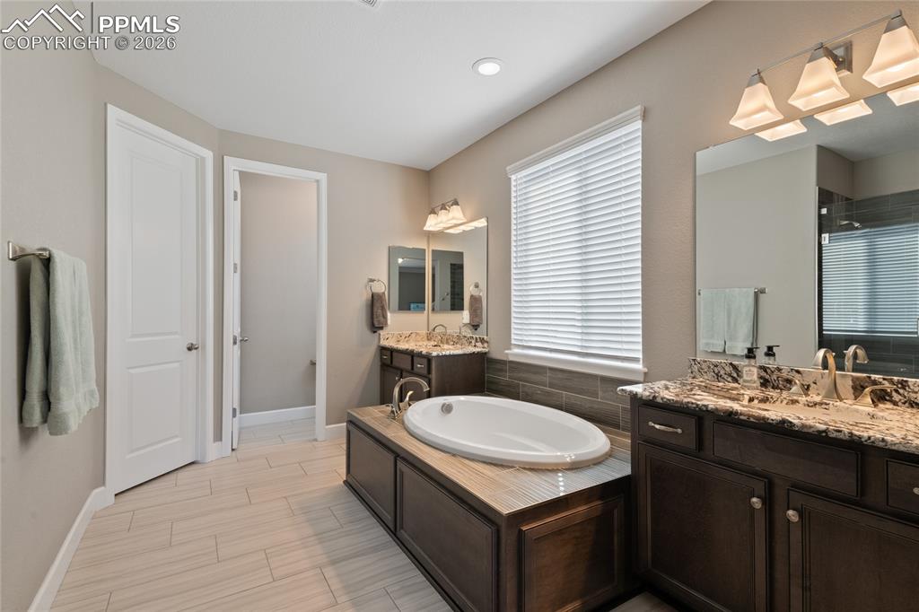 6655 Mentha Drive Castle Rock CO 80108