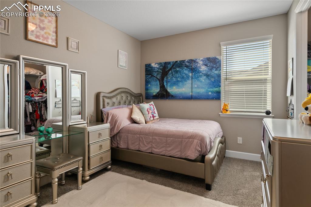 6655 Mentha Drive Castle Rock CO 80108