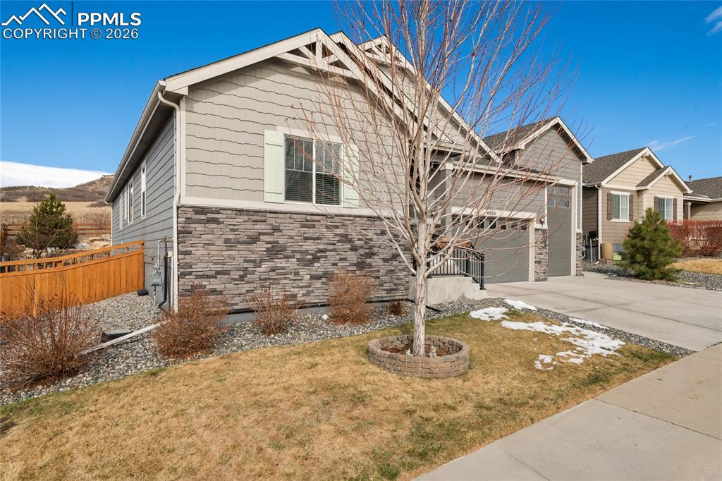 6655 Mentha Drive Castle Rock CO 80108