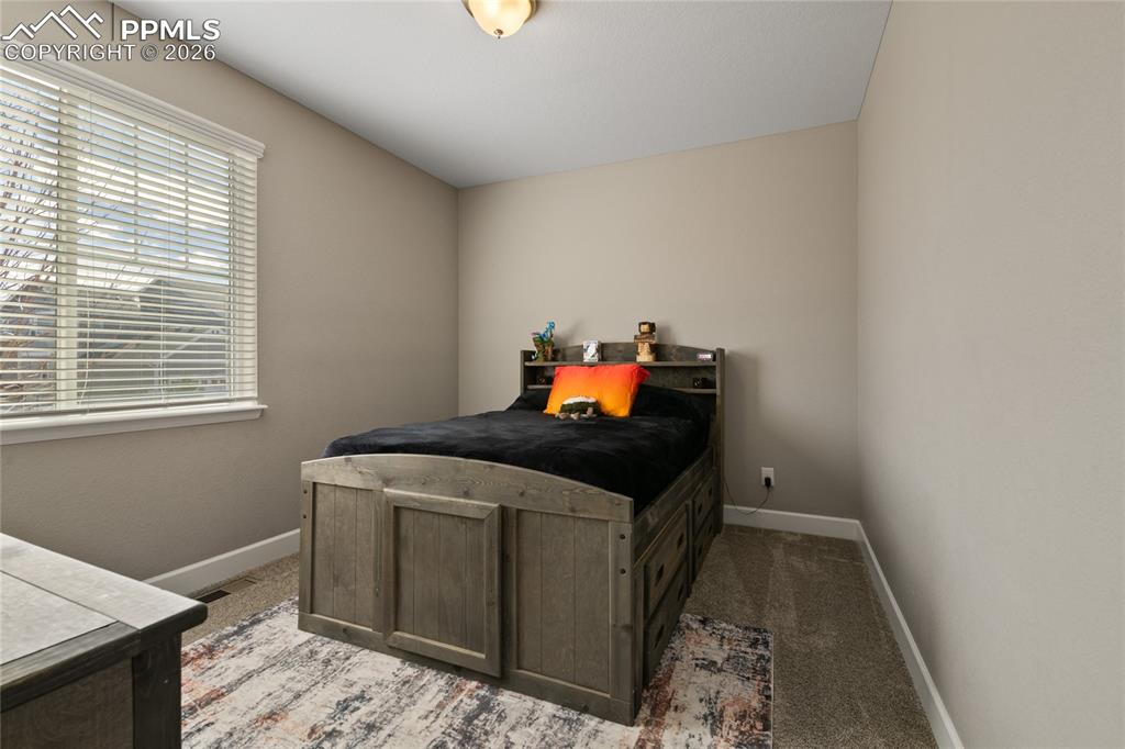 6655 Mentha Drive Castle Rock CO 80108