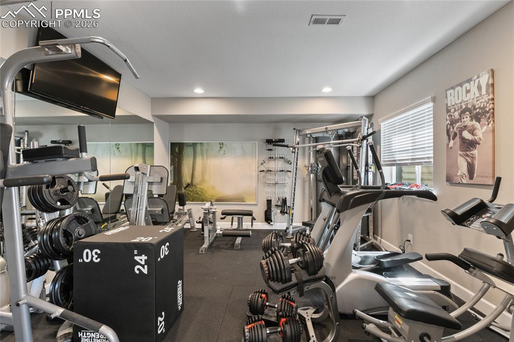 6655 Mentha Drive Castle Rock CO 80108