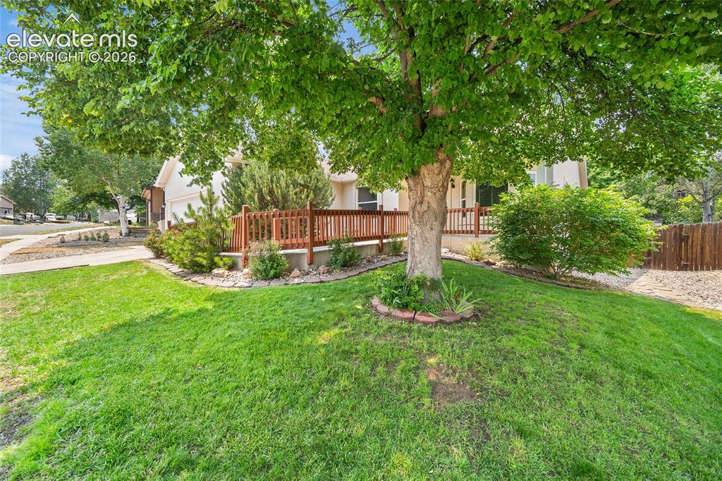 5970 Fescue Drive Colorado Springs CO 80923