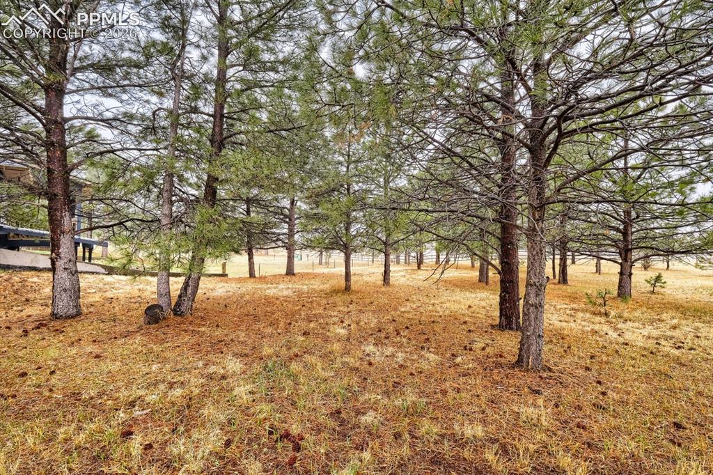 16755 Oak Brush Loop Peyton CO 80831