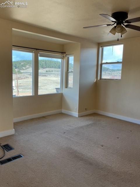 102 2nd Street Florissant CO 80816