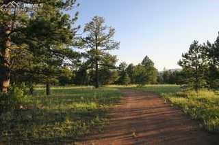 143 Ring Road Guffey CO 80820