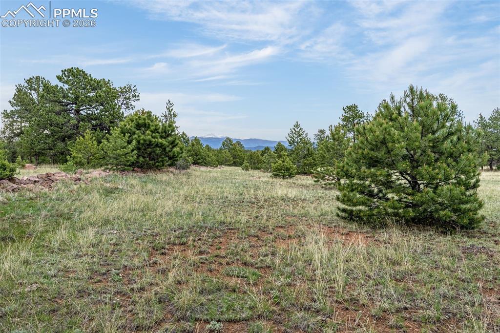 143 Ring Road Guffey CO 80820