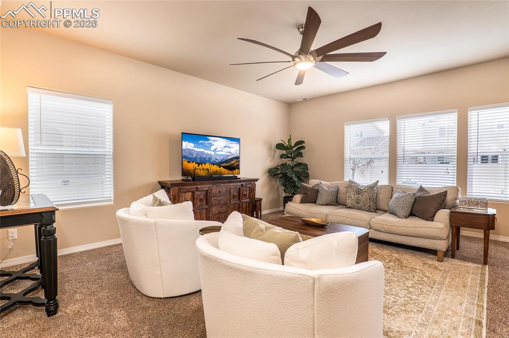 7368 Benecia Drive Fountain CO 80817