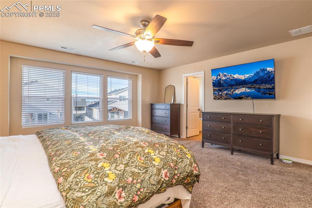 7368 Benecia Drive Fountain CO 80817
