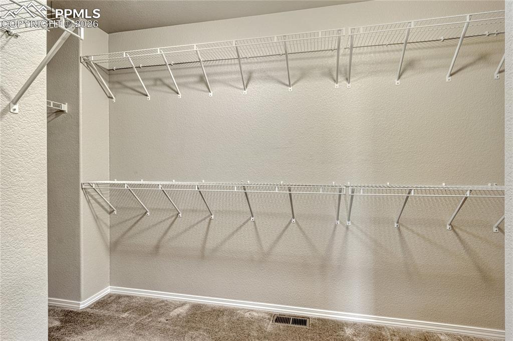 6703 Dancing Wind Drive Colorado Springs CO 80923