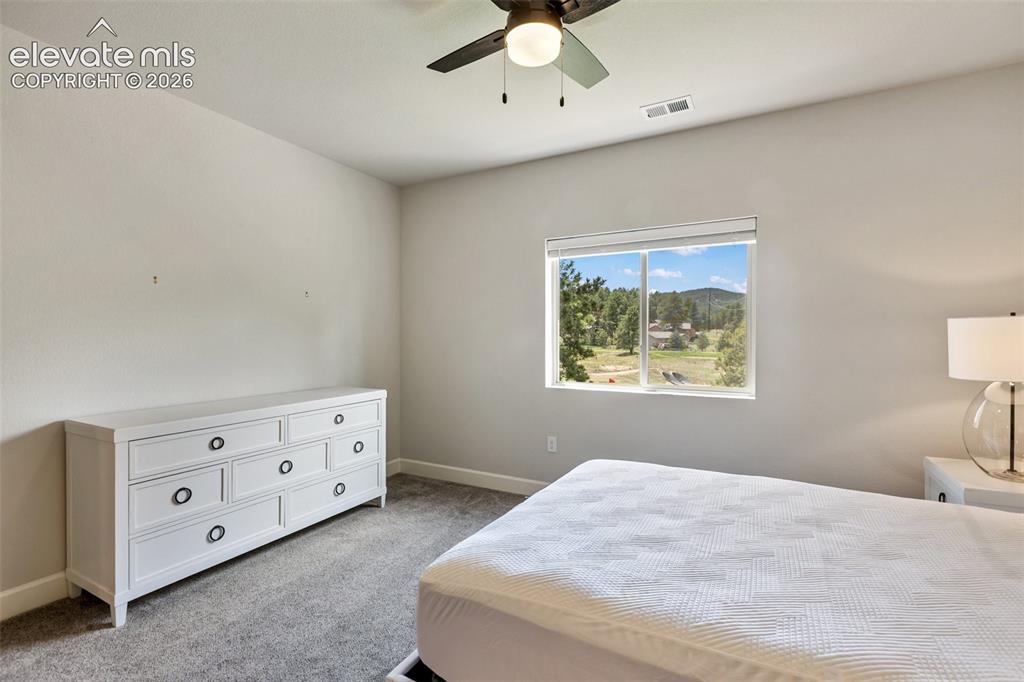 1350 Longs Point Woodland Park CO 80863
