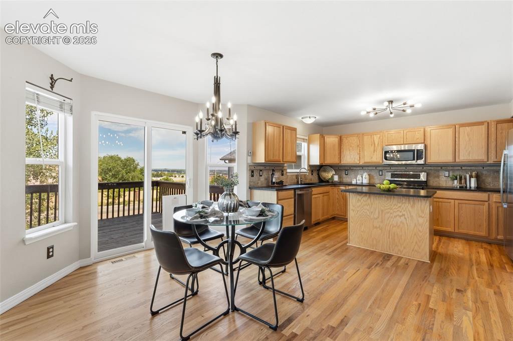 459 Assay Court Colorado Springs CO 80905